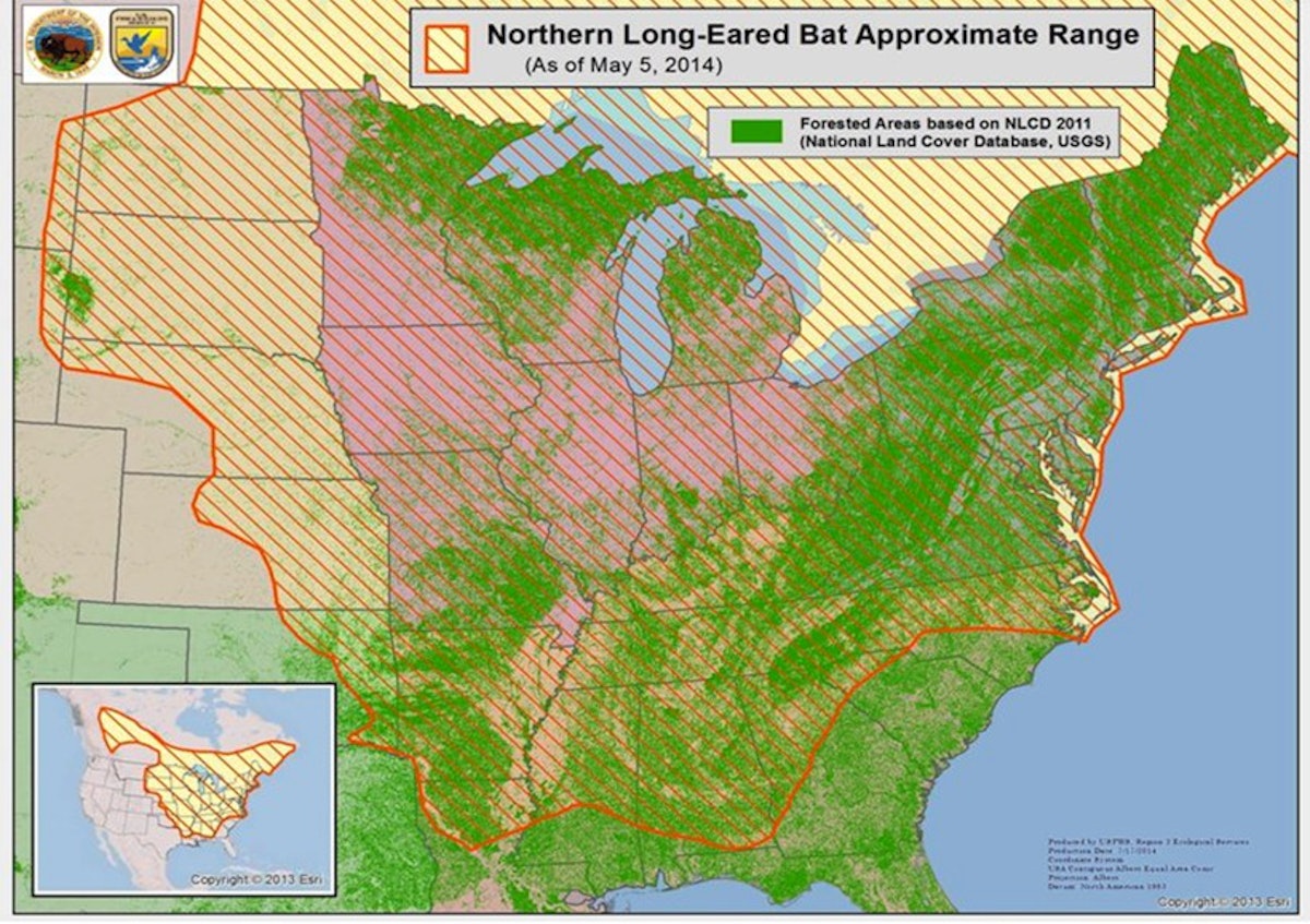 maps northern long eared bat