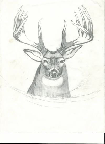 A1 Bb Deer Head0001