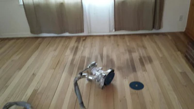 Urine stains on a wood floor