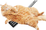 Spatcat 1214