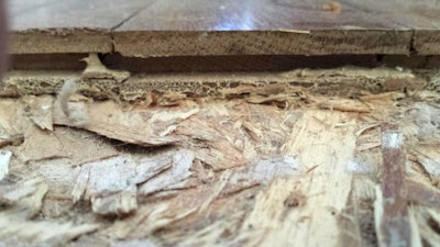 Subfloor Unsanded Subfloor At Header