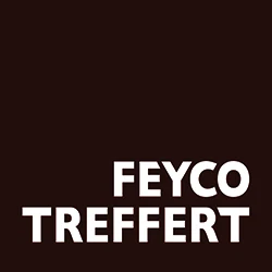 Logo Ft Cmyk