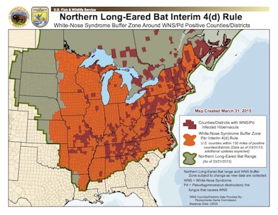 The interim 4(d) rule impacts forest operations in northern long eared bat habitat.