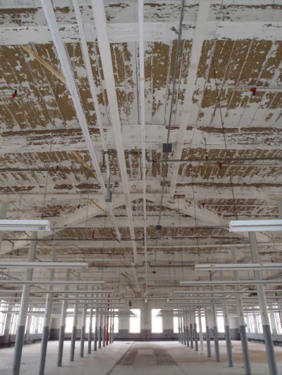 Elizabeth Mill Ceiling 410x546