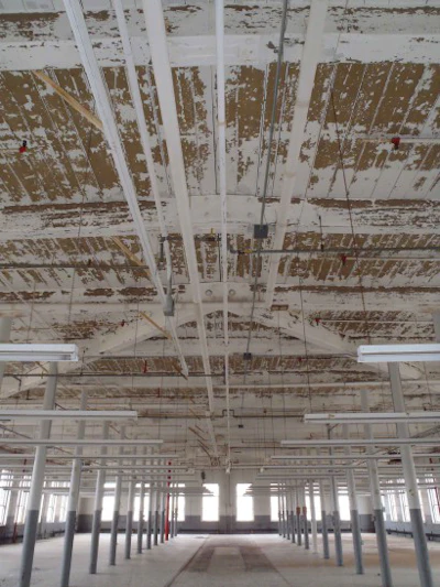 Elizabeth Mill Ceiling 410x546