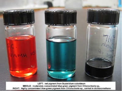Pigments used as dyes.
