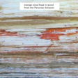 5 27 15 Orange Zone Line 1 2 Edit