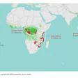 6 9 15 Deforestation Map