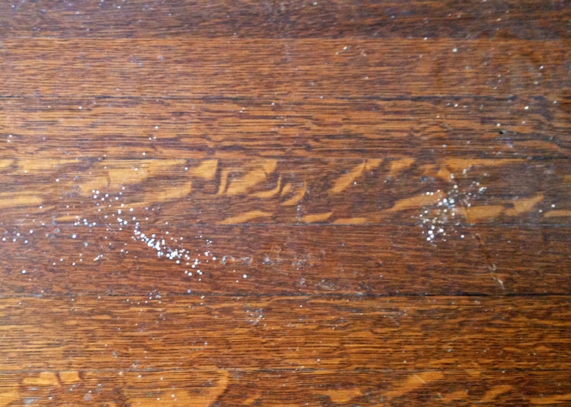 Photo Quiz What Are These White Spots, Signs Of Mold Under Hardwood Floors
