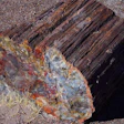 Even petrified wood, like this log section at Petrified Forest National Park, is at risk of being stolen. (Photo: Solipsist~commonswiki)