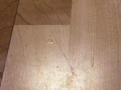 Spots Such As This Hair Trapped In The Finish Will Be Visible After Recoating Unless They Are Hand Scraped Out First; The Minor Scratches Should Disapper