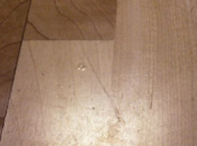 Spots Such As This Hair Trapped In The Finish Will Be Visible After Recoating Unless They Are Hand Scraped Out First; The Minor Scratches Should Disapper