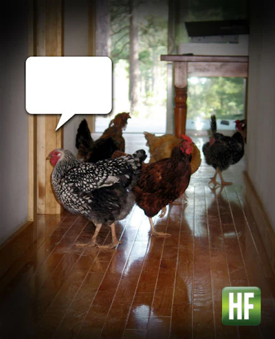 W Wcaption Chixinthehall