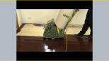 Lagler Video8