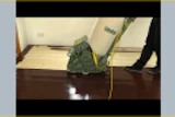 Lagler Video8