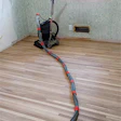 Ook 217 Wfb Fm17 Tot Cow Leg Bands Img 20151022 093011335 Sm