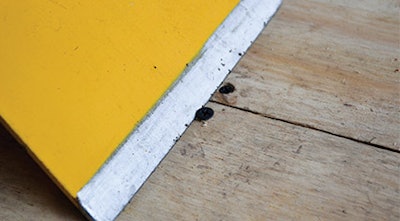 Ott 417 Wfb Am17 Techn Proud Screw Sm