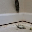 4 21 Scoring Baseboard