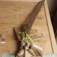 7 20 Jig And Master Pieces