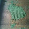 A decomposing carpet pad will easily leach chemicals in a wood floor.