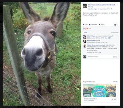 On17 Yb Opener Social Studies Donkey Fornews