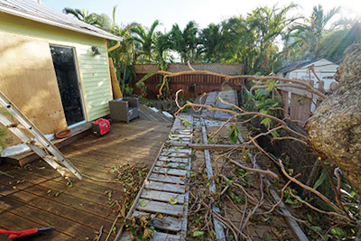 Hurricane Irma left Zoltan Boros' backyard in total disarray. He spent a week clearing it after the hurricane went through.