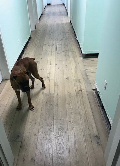 Dj18 Techn Hallway After Img 2475 Sm