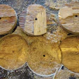 Wood fibers can clearly be seen attached to the adjoining layers of these pucks cut with a hole saw. The failure was caused by wood shear, not delamination.