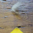 The “rustic” wood floor created splinters easily, whether in a cloth or in the customers’ feet.