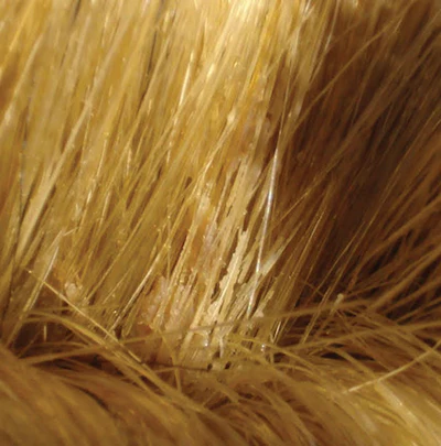 Dried finish was found in a cut-in brush.