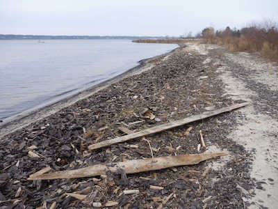 Mill debris washed up along the shore of Muskegon Lake. Photo credit: NOAA