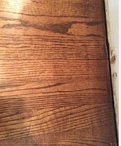 Staining a wood floor can reveal sanding marks, like these edger swirls, that aren't necessarily obvious on a natural floor.