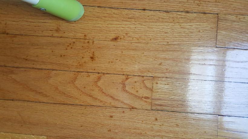 Wood Floor Mystery 1 The Spreading, What Causes Dark Spots On Hardwood Floors