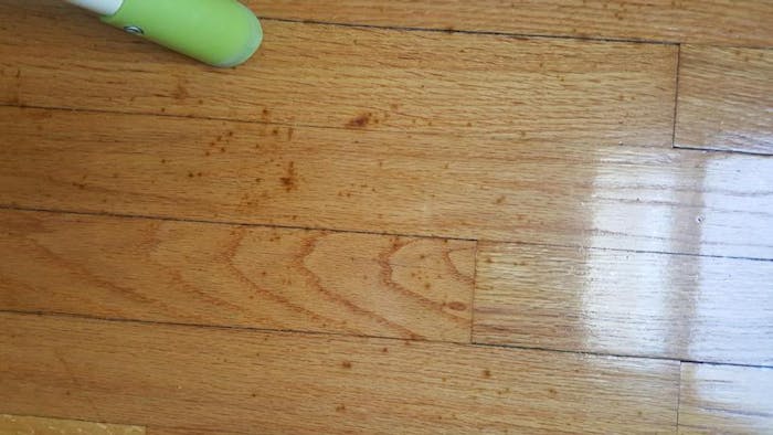Wood Floor Mystery 1 The Spreading, How To Get Black Marks Out Of Hardwood Floors