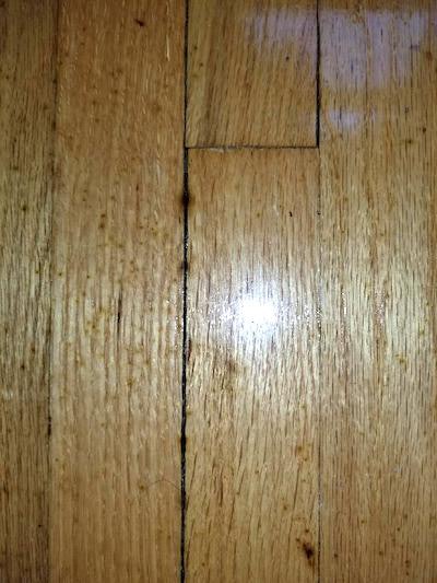 Wood Floor Mystery 1 The Spreading