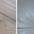 1 10 19 Bed Bug Mystery 820