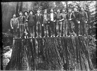 A group of men stand on the massive stump of a felled redwood in an undated photograph. Photo: Ericson Collection, Humboldt State University Library