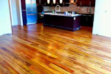 2 27 Wfotw Canarywood 2