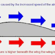 3 18 19 Bernoulli