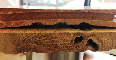 6 5 19 Cupped Sanded Wood Floor