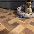 Rogue, the Pyle Family dog, in the master bedroom where Pyle installed this white oak and walnut handbasket parquet floor.