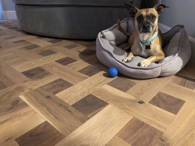 Rogue, the Pyle Family dog, in the master bedroom where Pyle installed this white oak and walnut handbasket parquet floor.