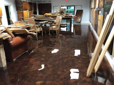 10 2 Schenck Flood 1