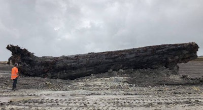 This ancient log was discovered during an excavation in New Zealand. Photo: Top Energy NZ Facebook