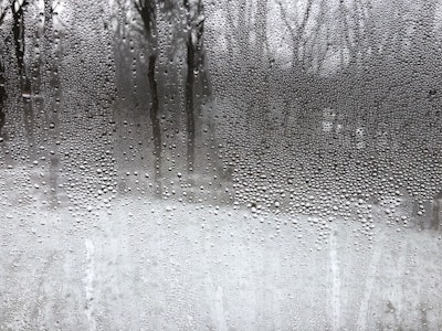1 6 20 Window Condensation Img 1684
