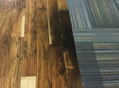 Texas Ebony  The Wood Database (Hardwood)