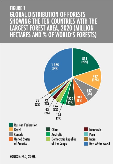 UN: Global Forest Area Declined 1.7% Since 1990 | Wood Floor Business