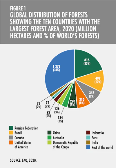 6 10 Un Forests 2020 Report