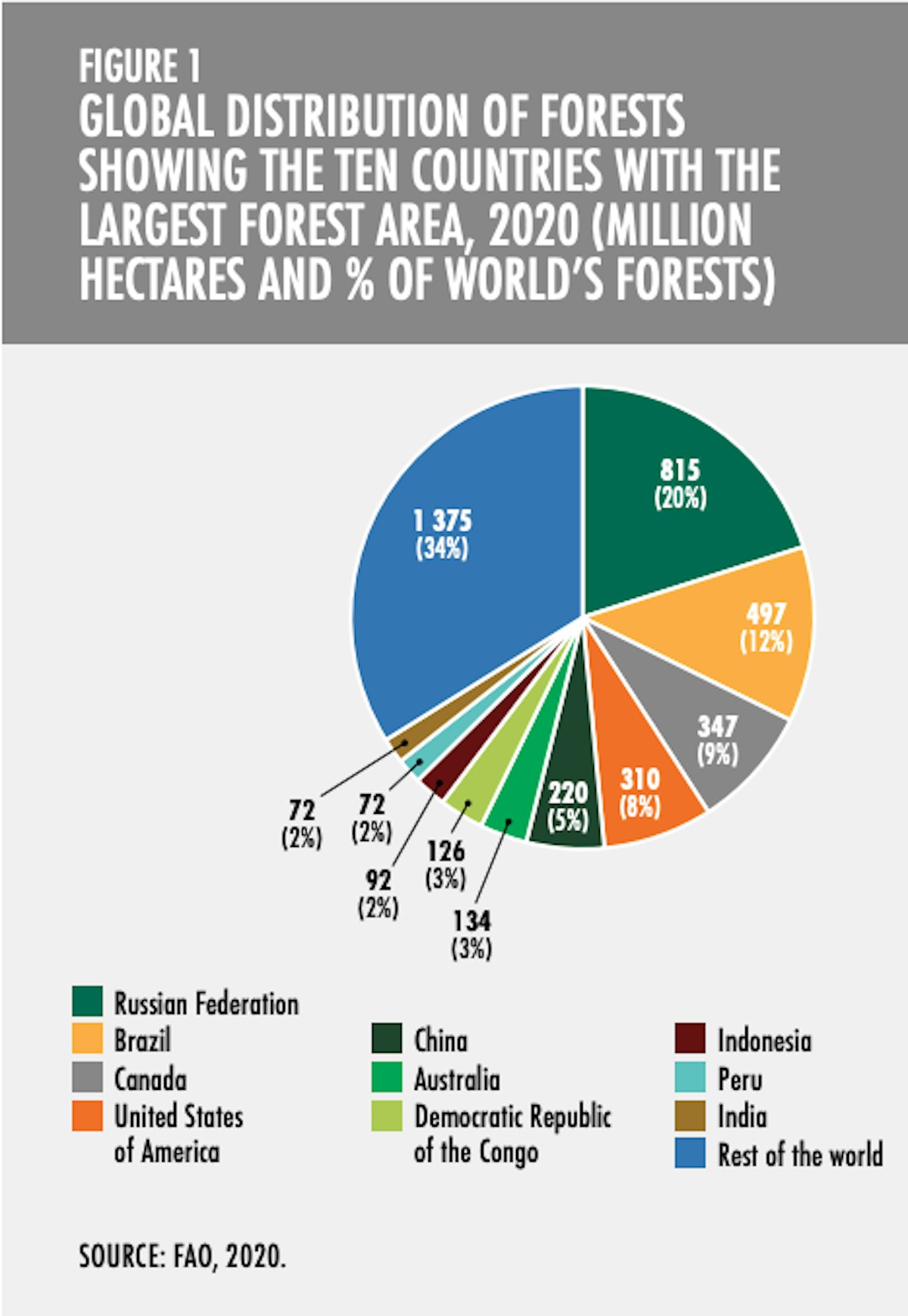 UN: Global Forest Area Declined 1.7% Since 1990 | Wood Floor Business