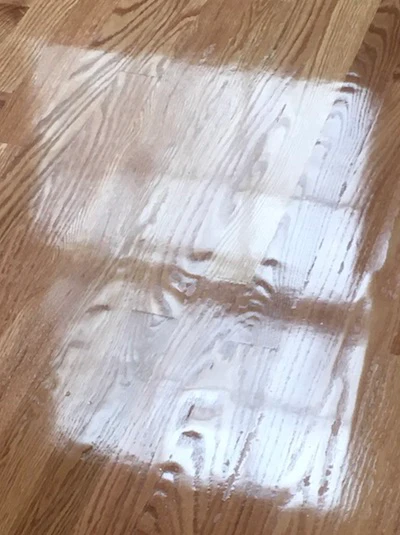 8 17 20 Wood Floor Dishout 1 2